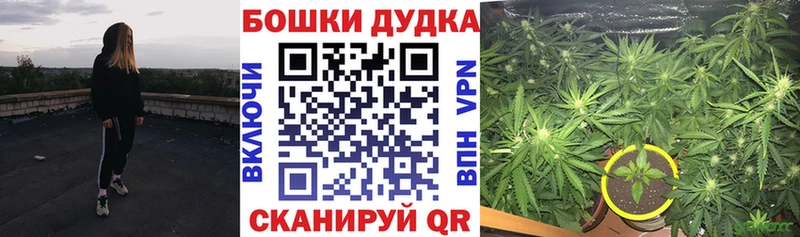 Купить закладки  Мышкин  Бошки Шишки марихуана 